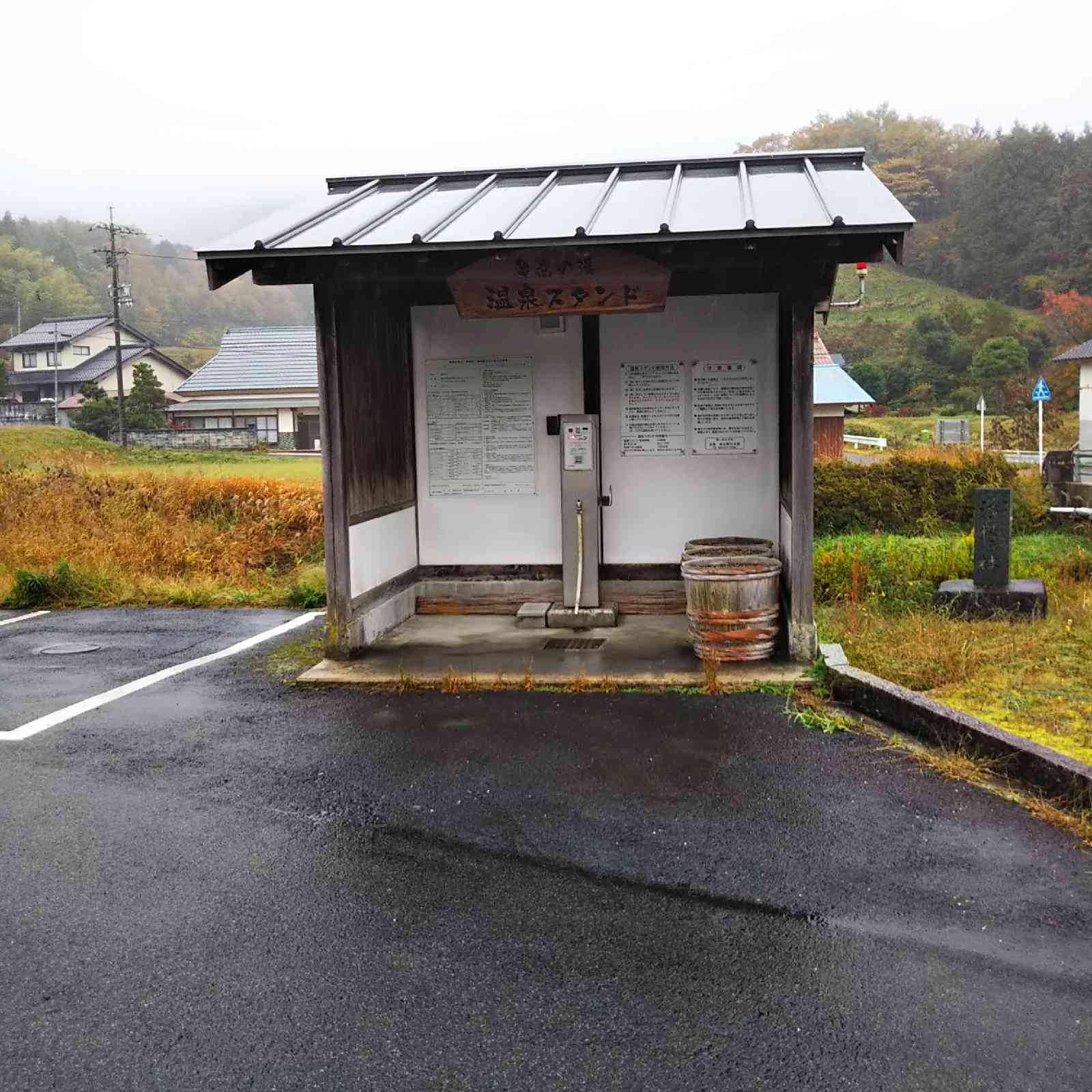 投稿された画像