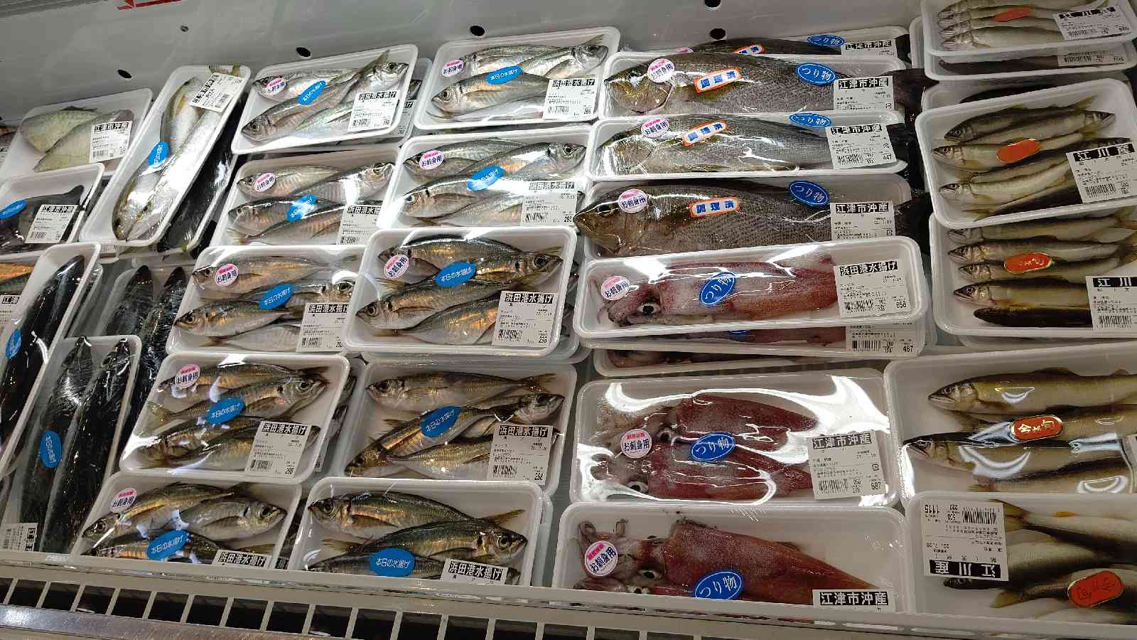 投稿された画像