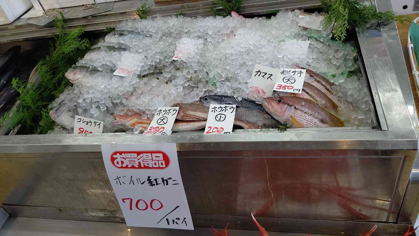 投稿された画像