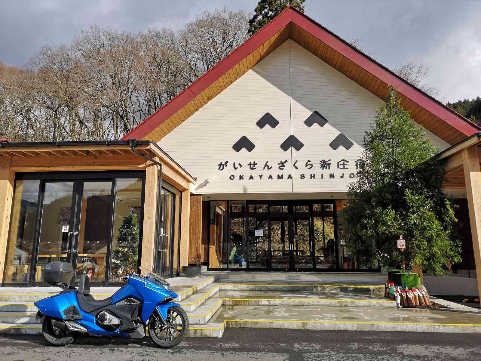 投稿された画像