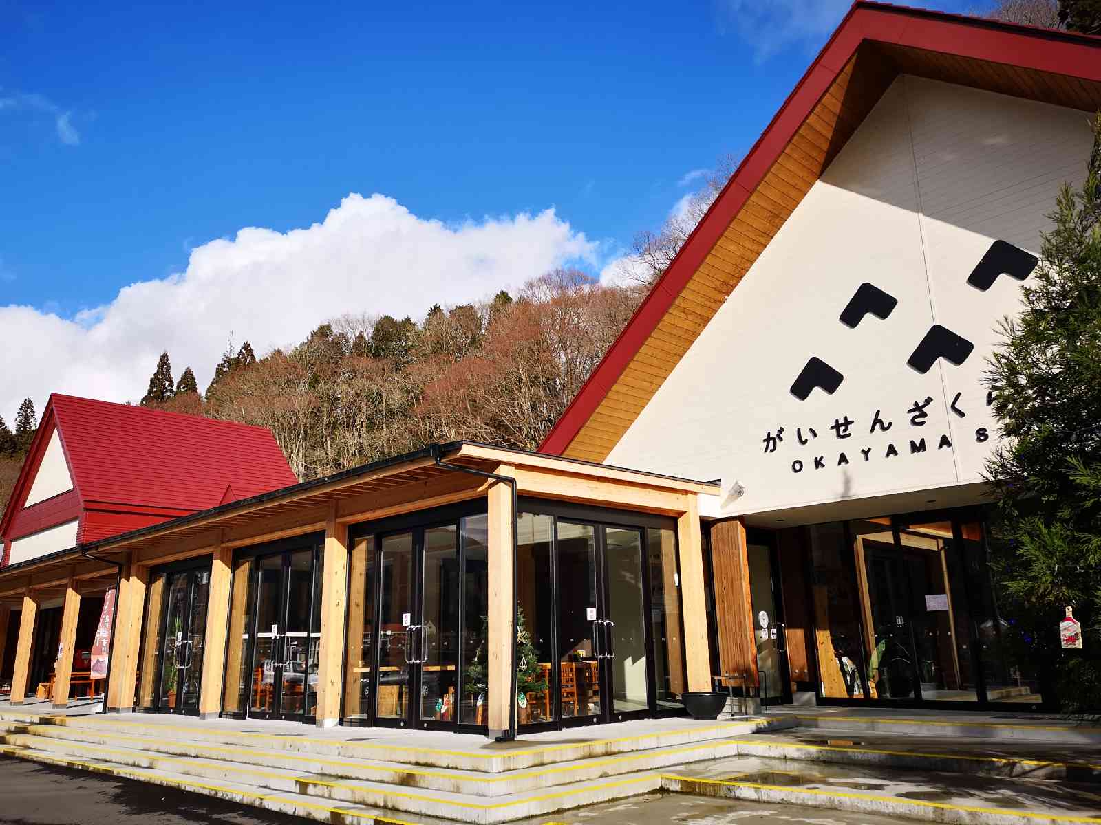 投稿された画像