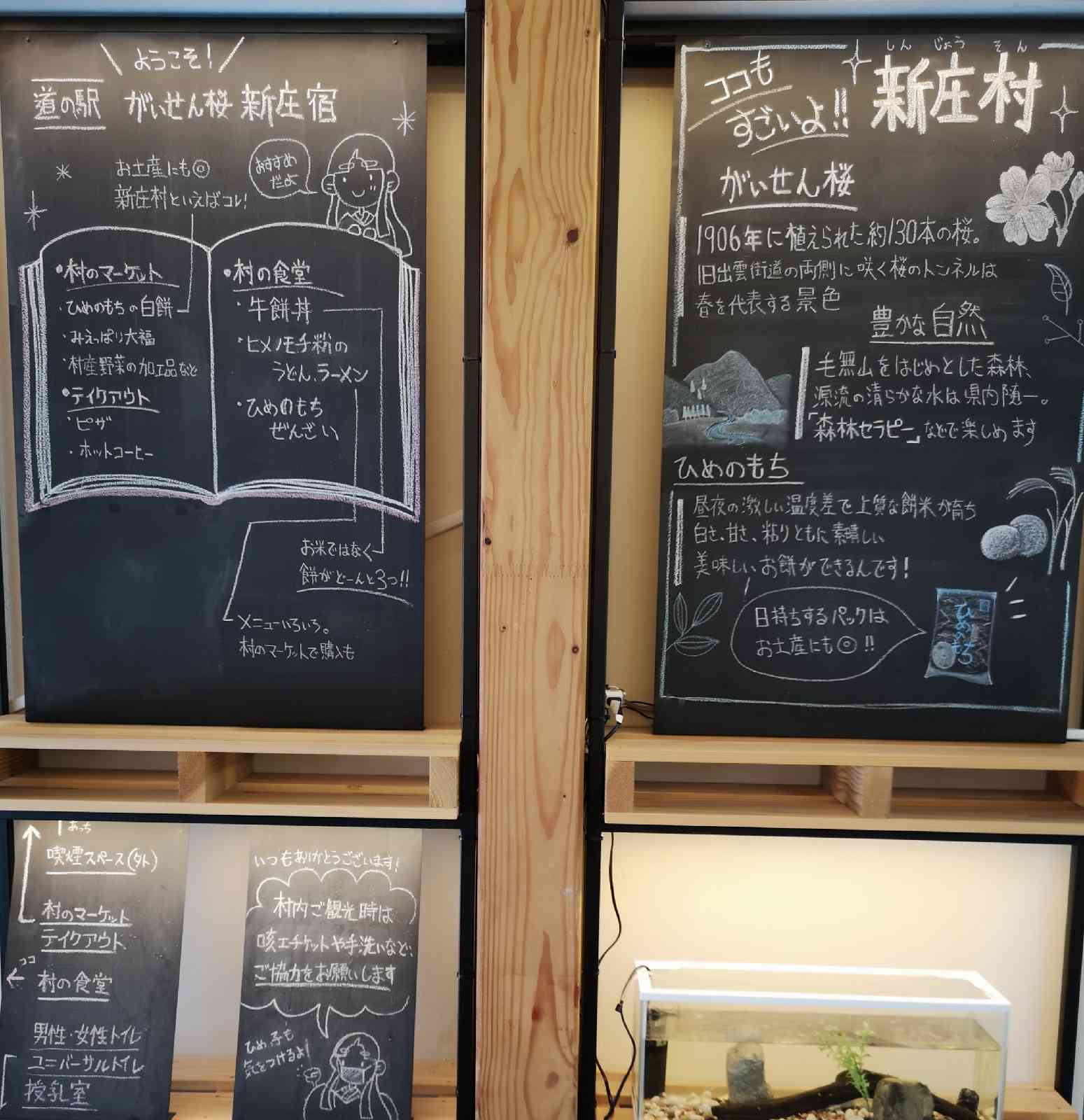 投稿された画像