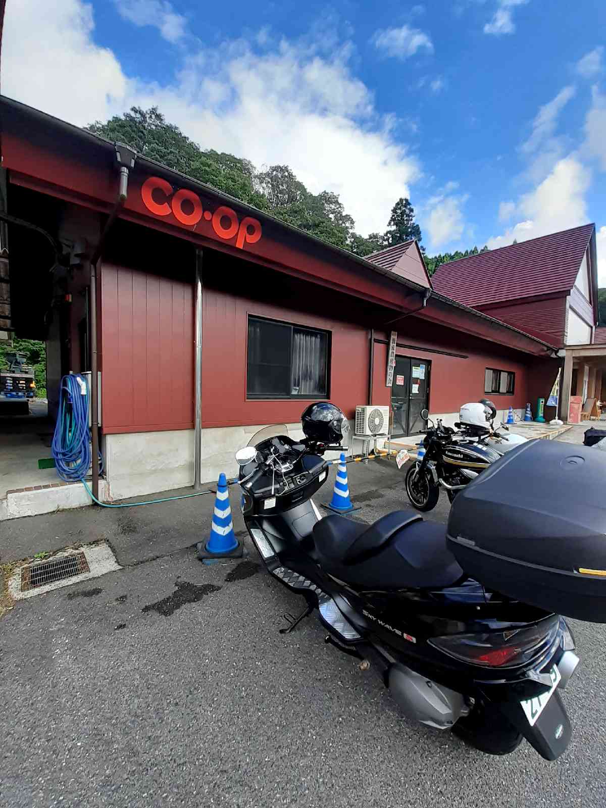 投稿された画像