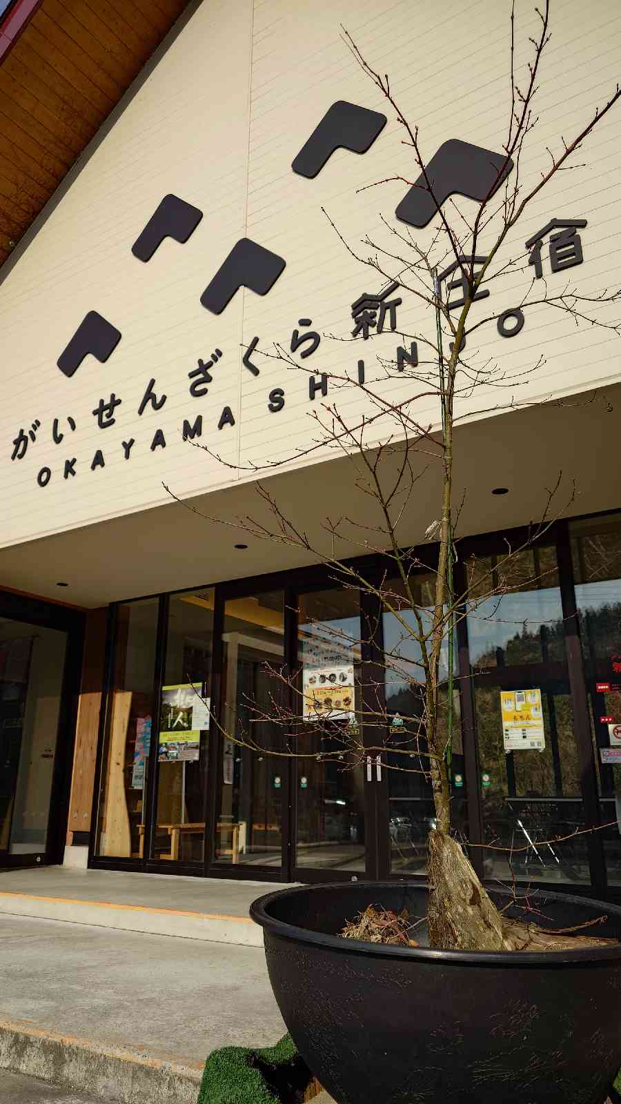 道の駅 がいせん桜 新庄宿の写真