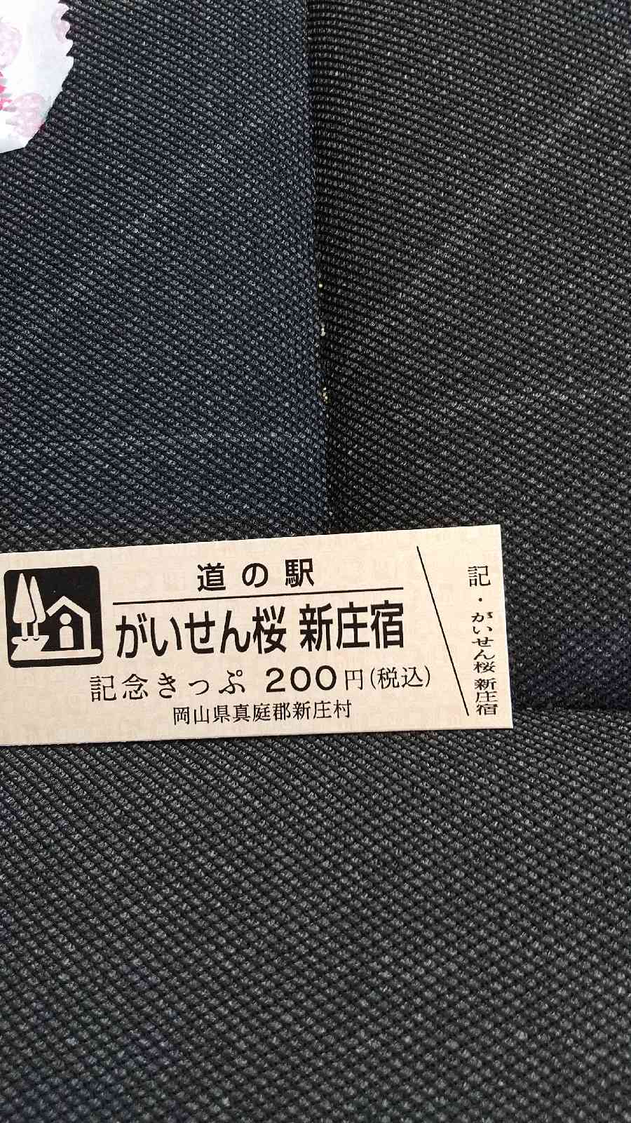 道の駅 がいせん桜 新庄宿の写真