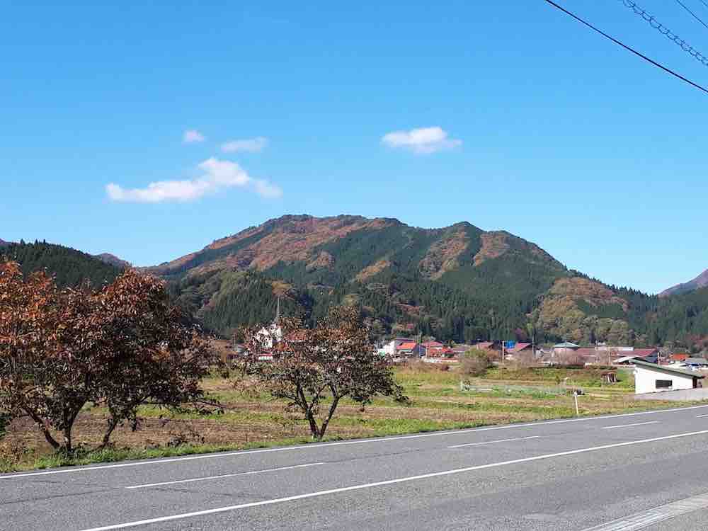 投稿された画像