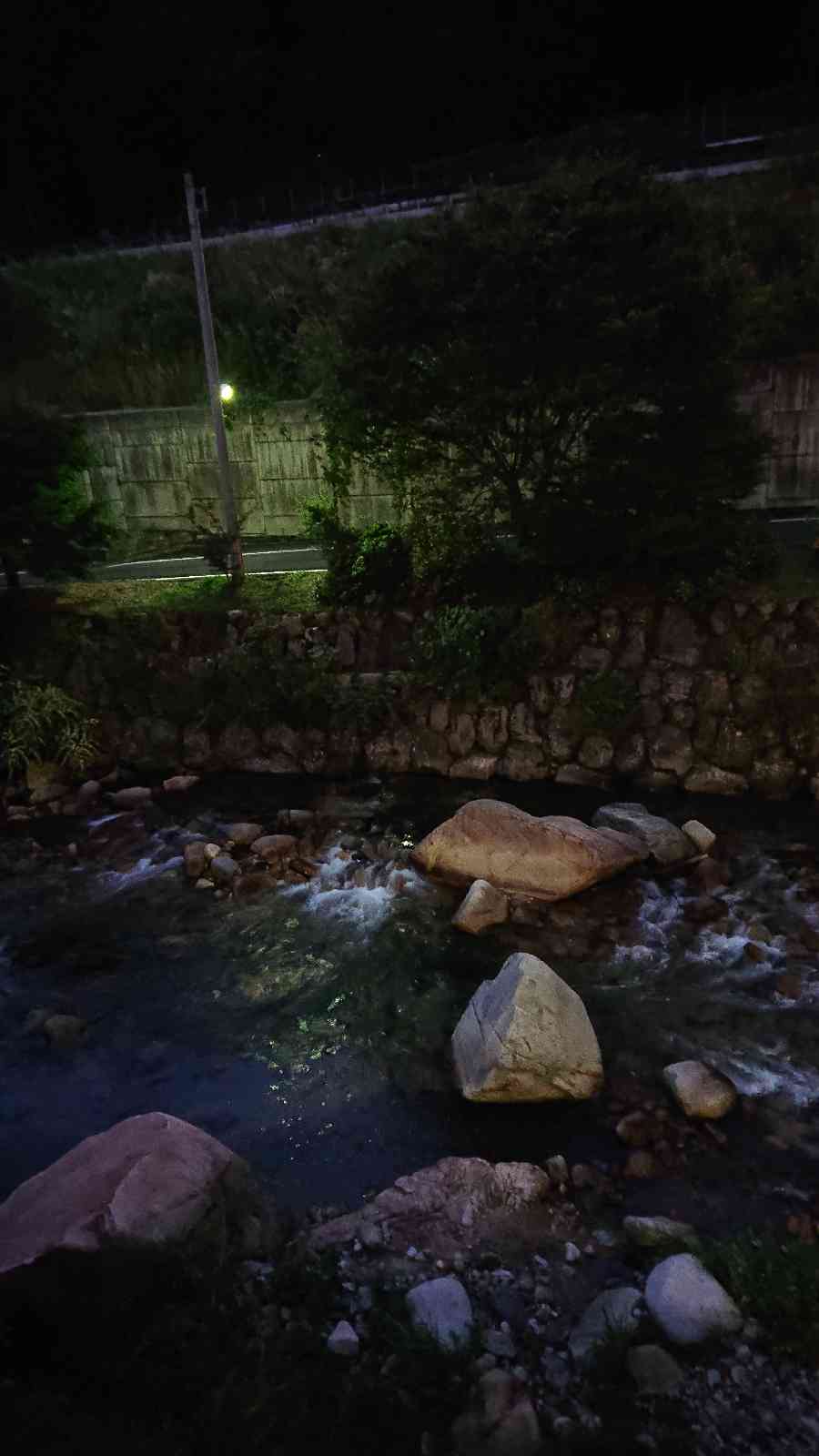 投稿された画像