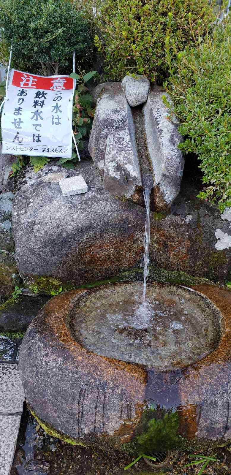 投稿された画像