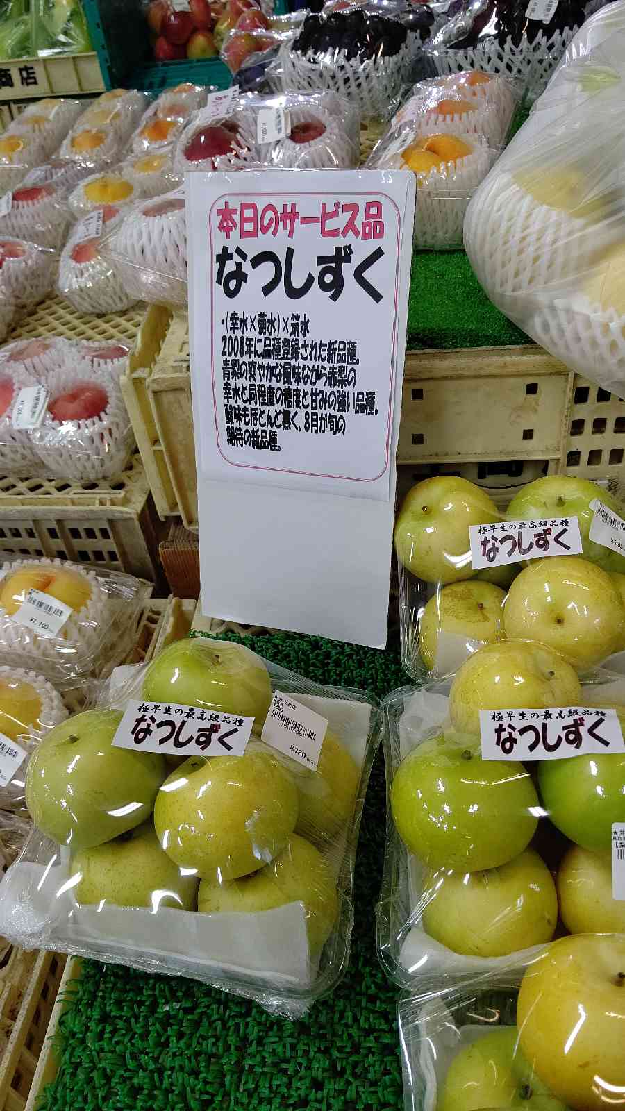 投稿された画像