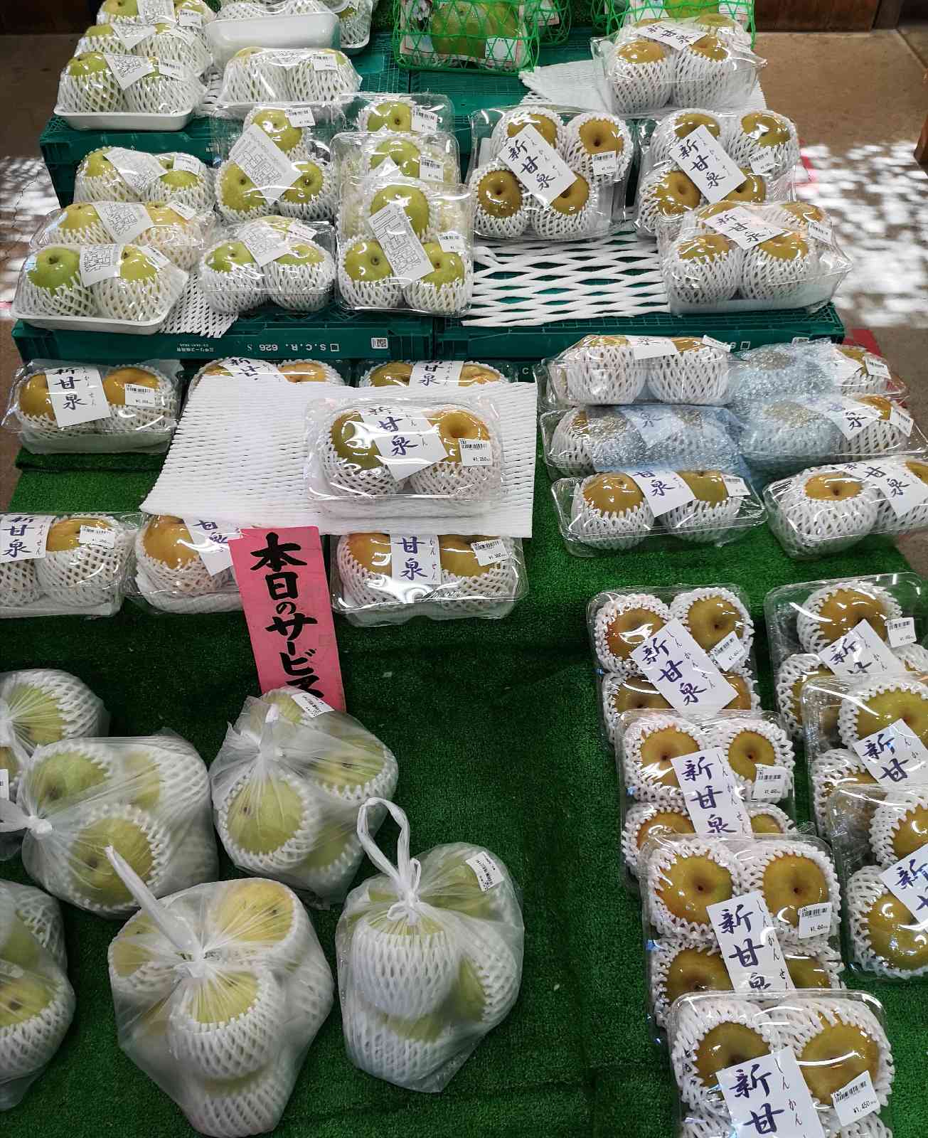 投稿された画像