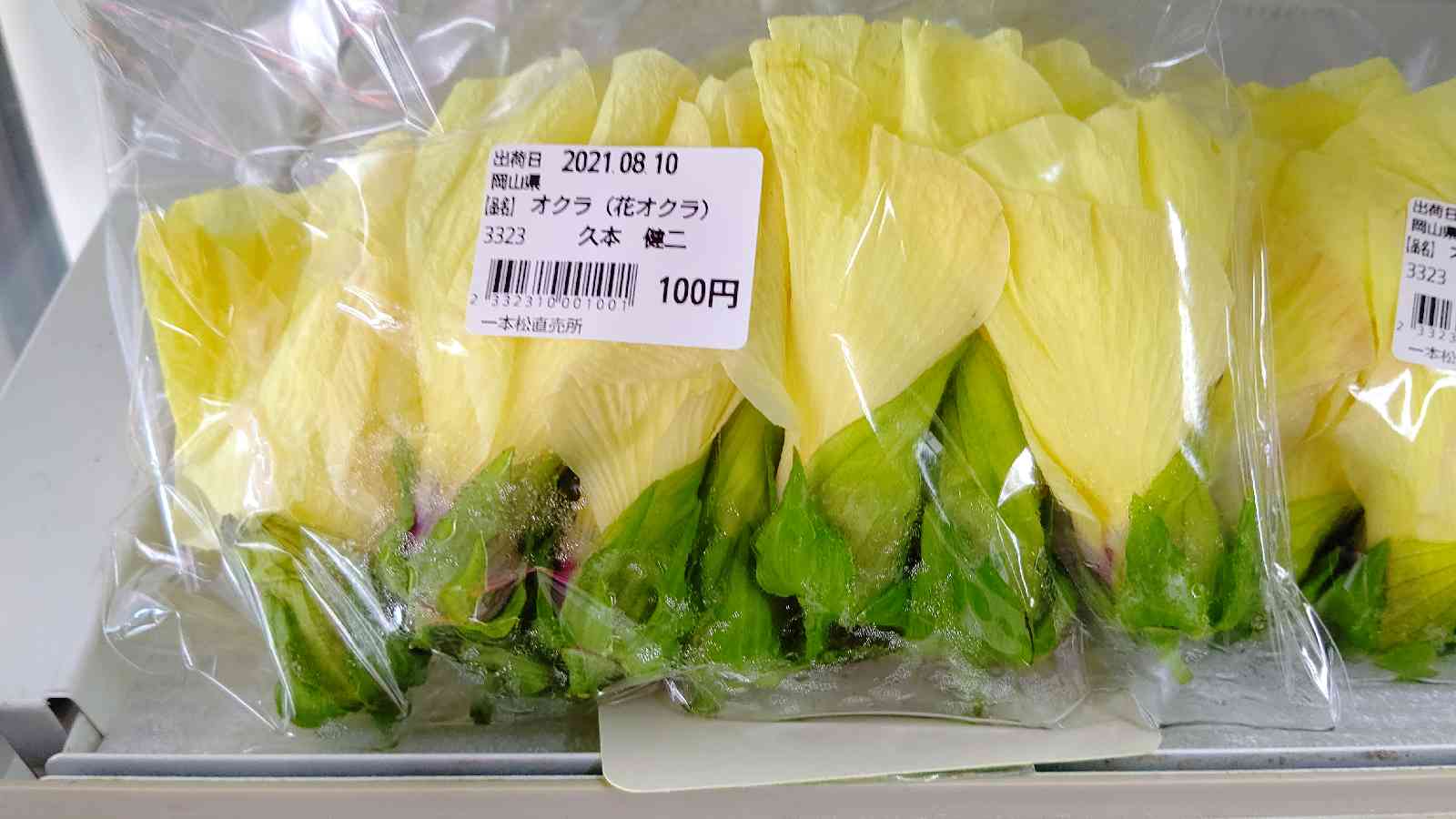 投稿された画像