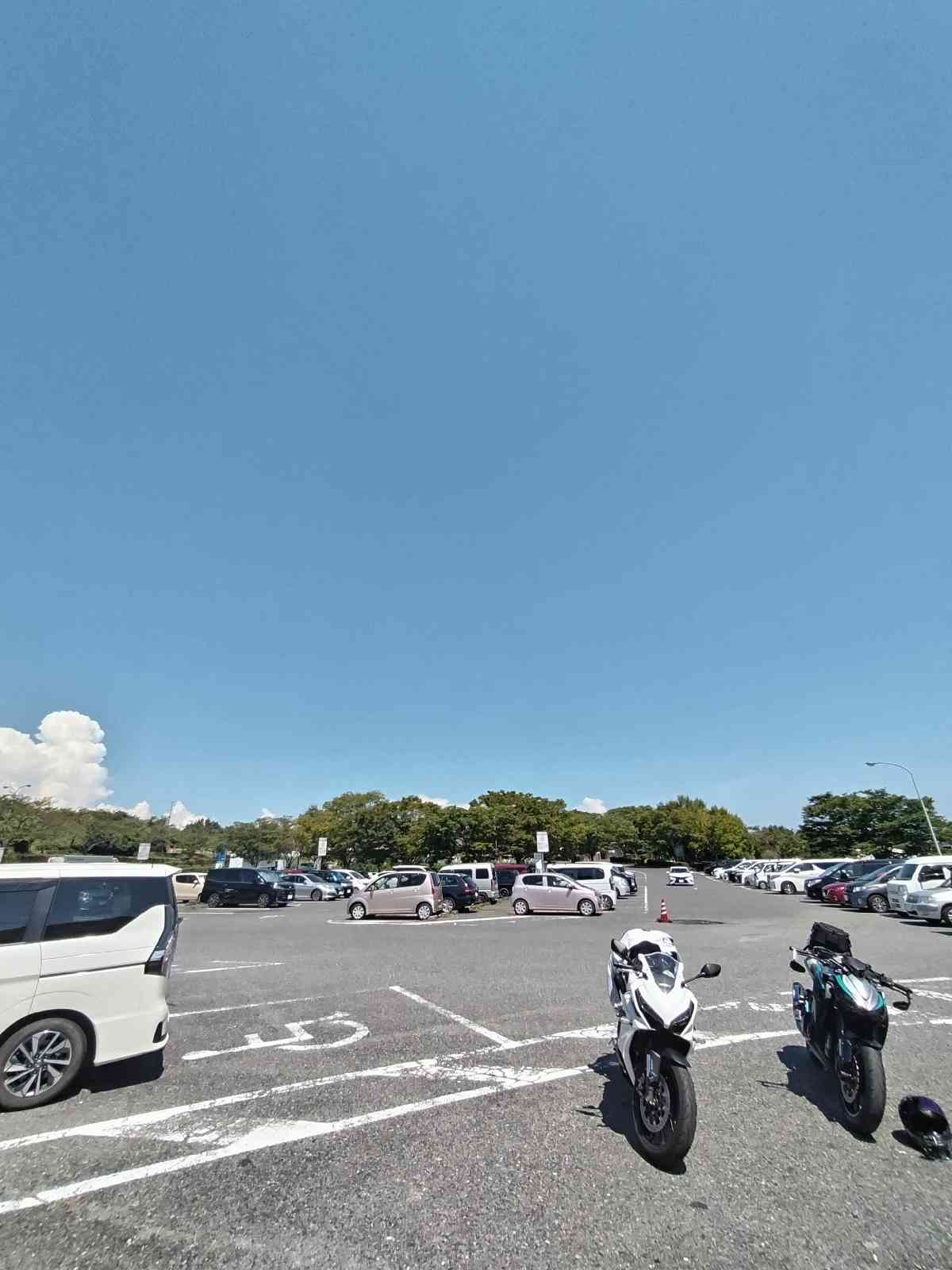 道の駅 一本松展望園の写真
