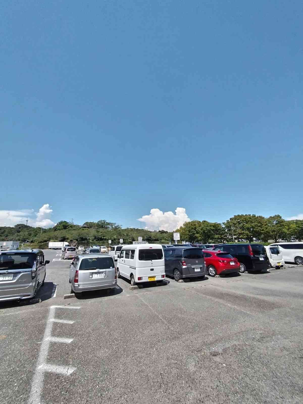 道の駅 一本松展望園の写真