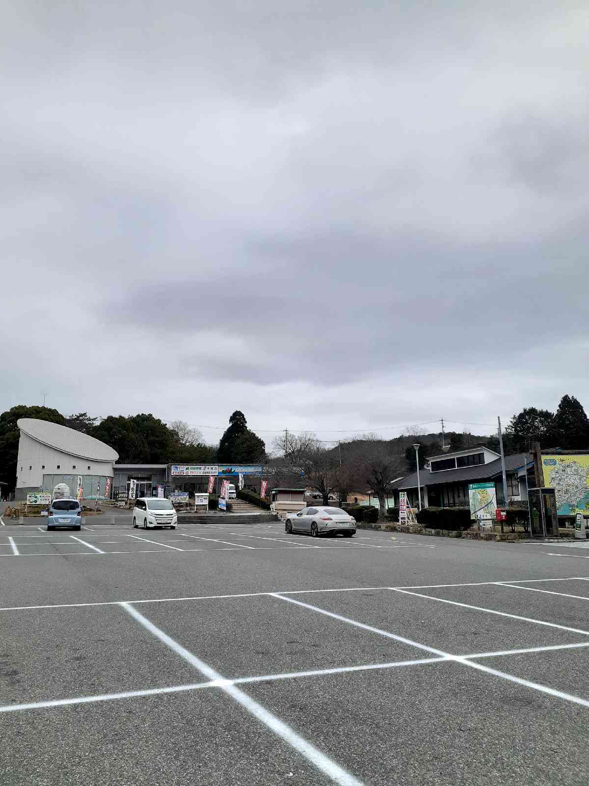 投稿された画像