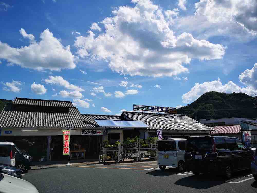 投稿された画像