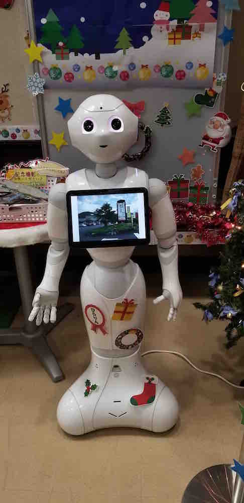投稿された画像