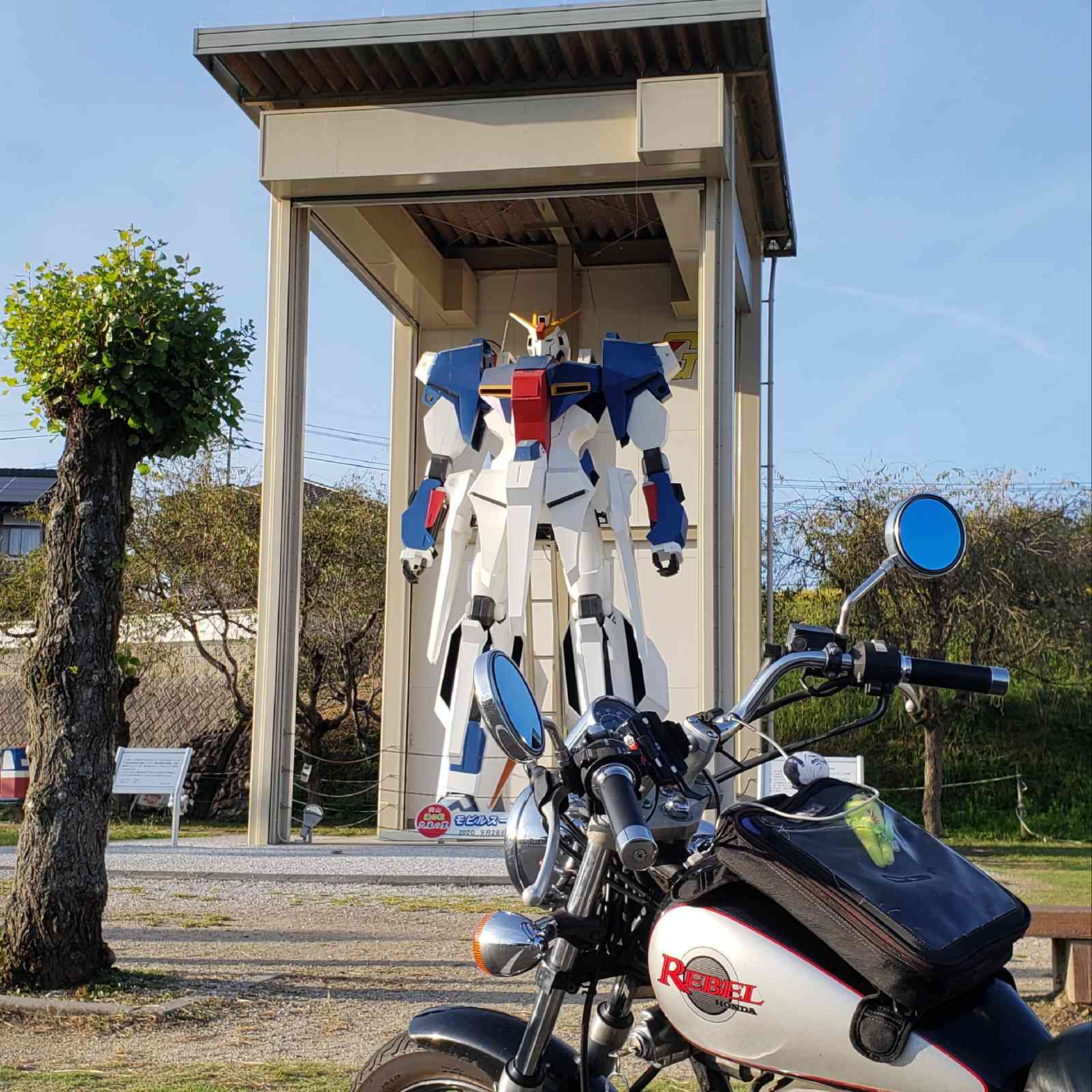 投稿された画像