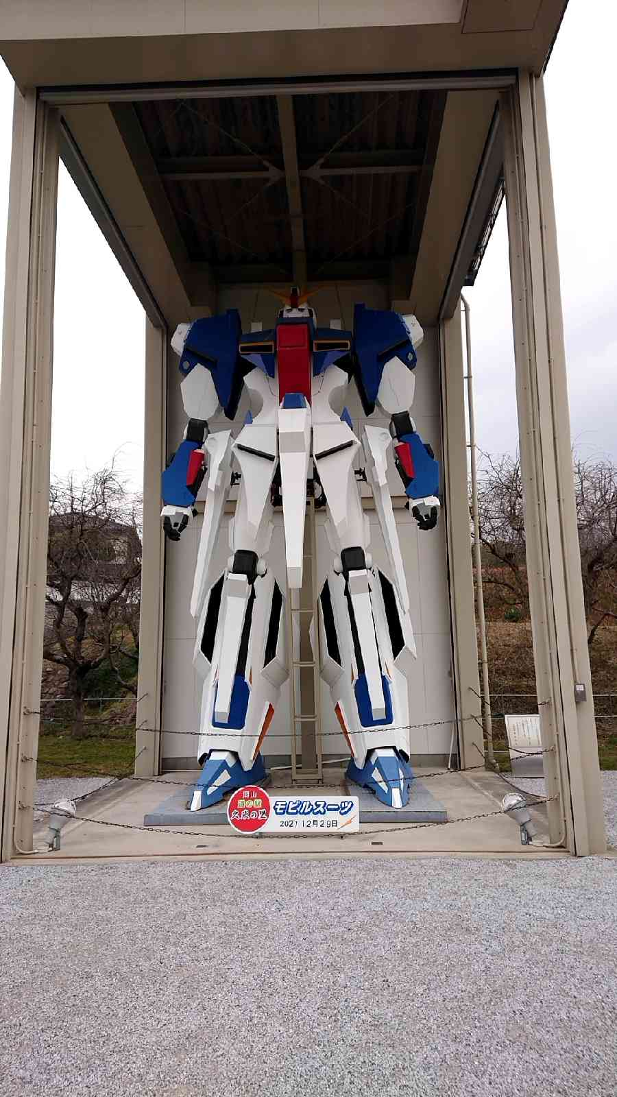 投稿された画像