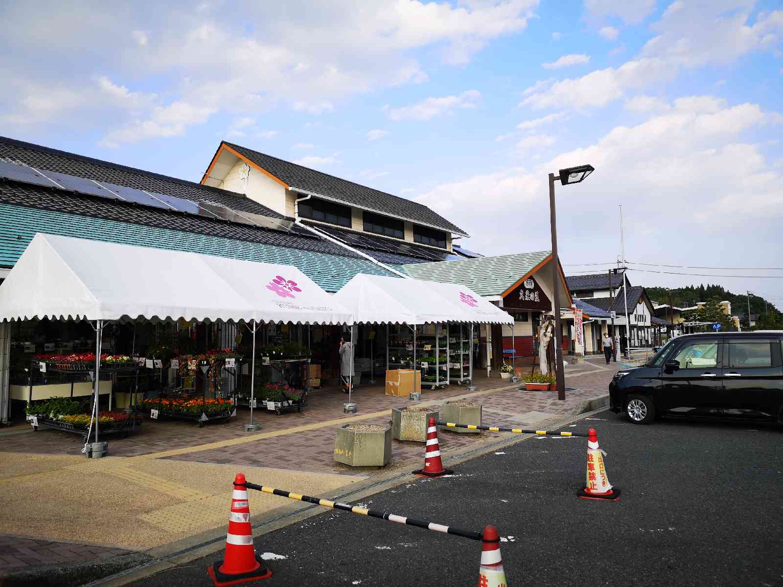 投稿された画像