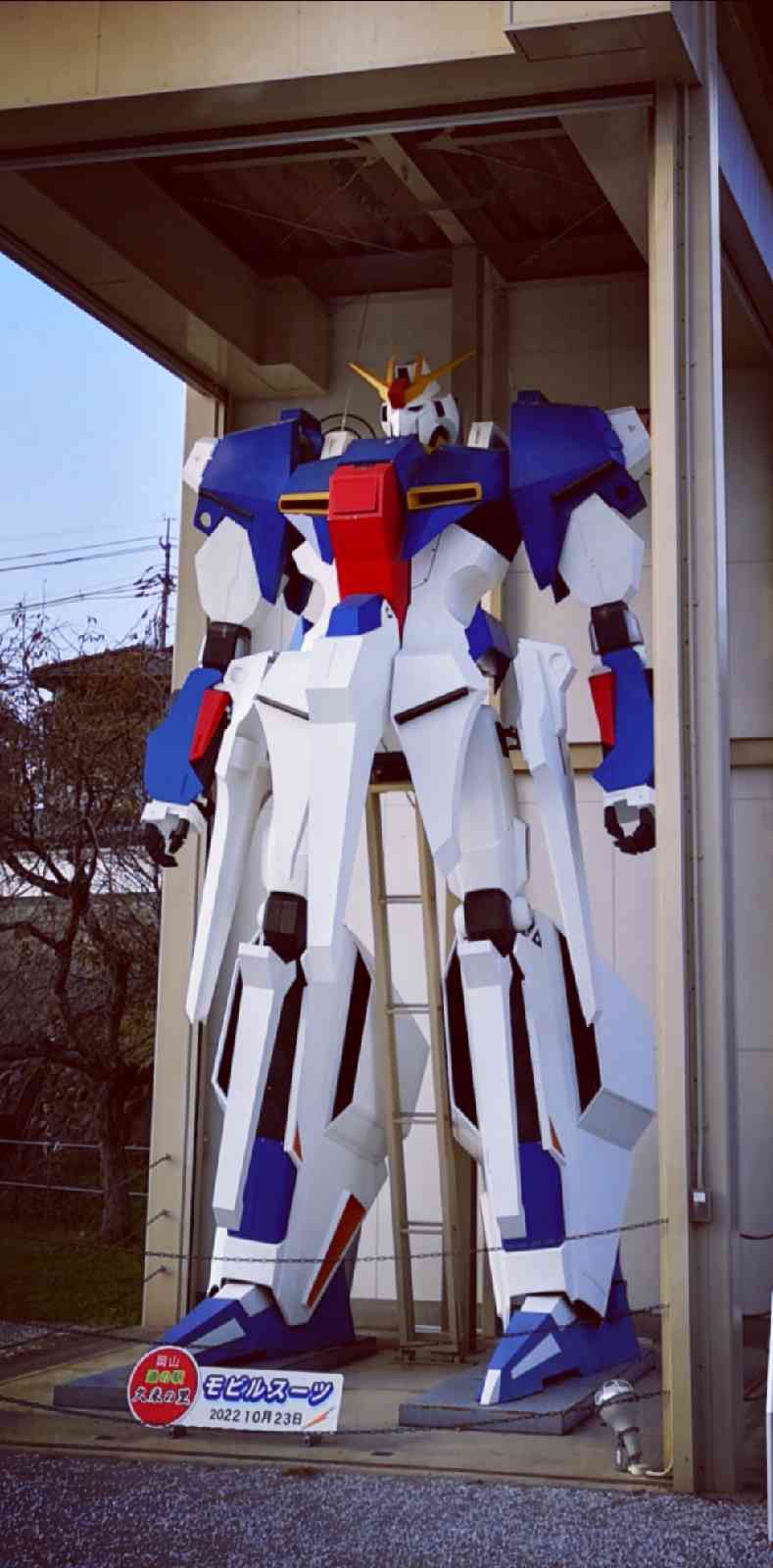 投稿された画像