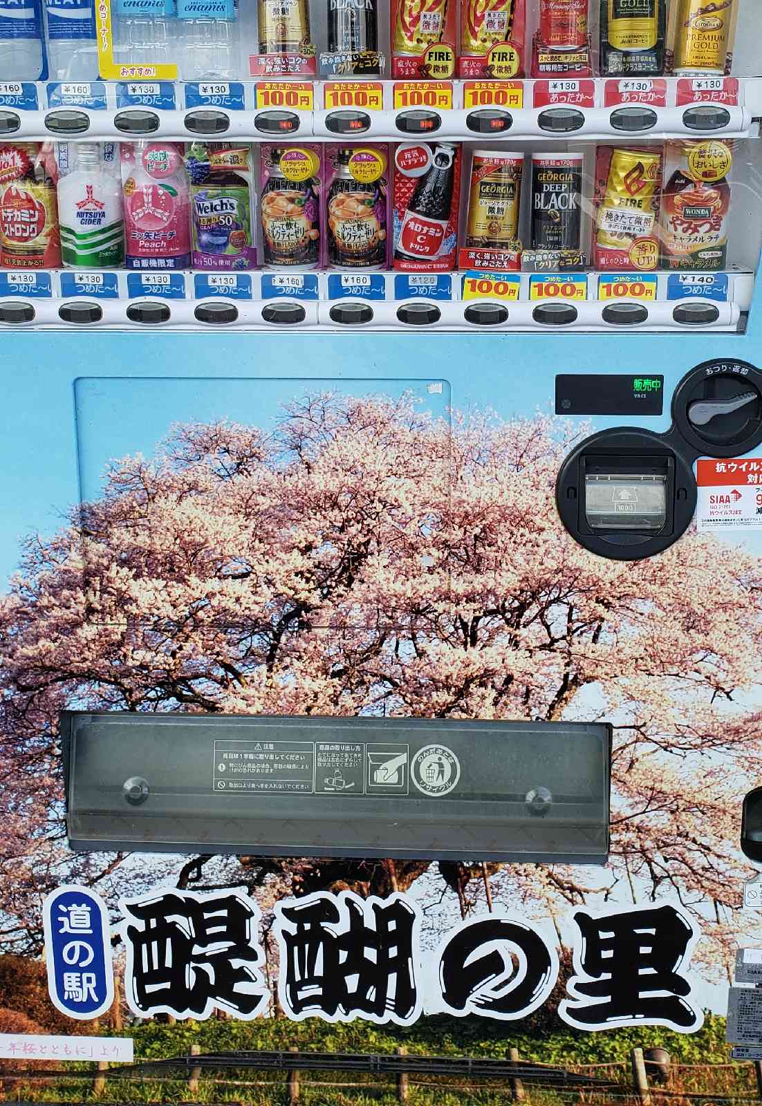 投稿された画像