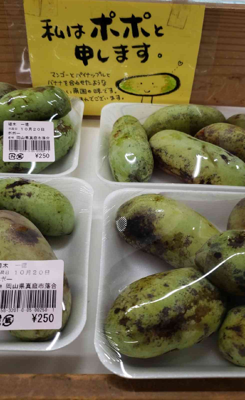 投稿された画像