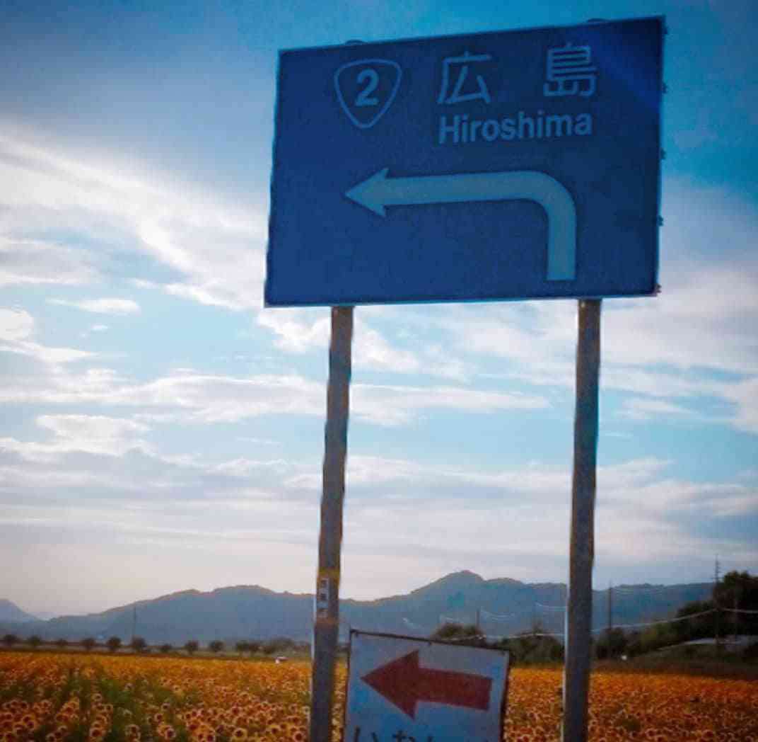 投稿された画像