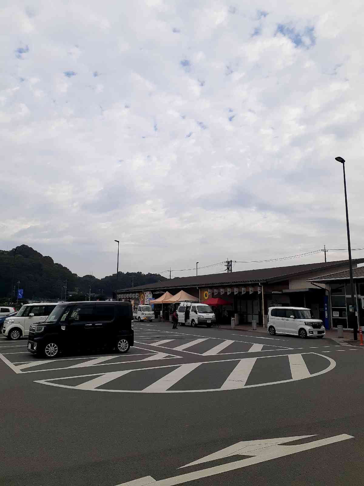 投稿された画像