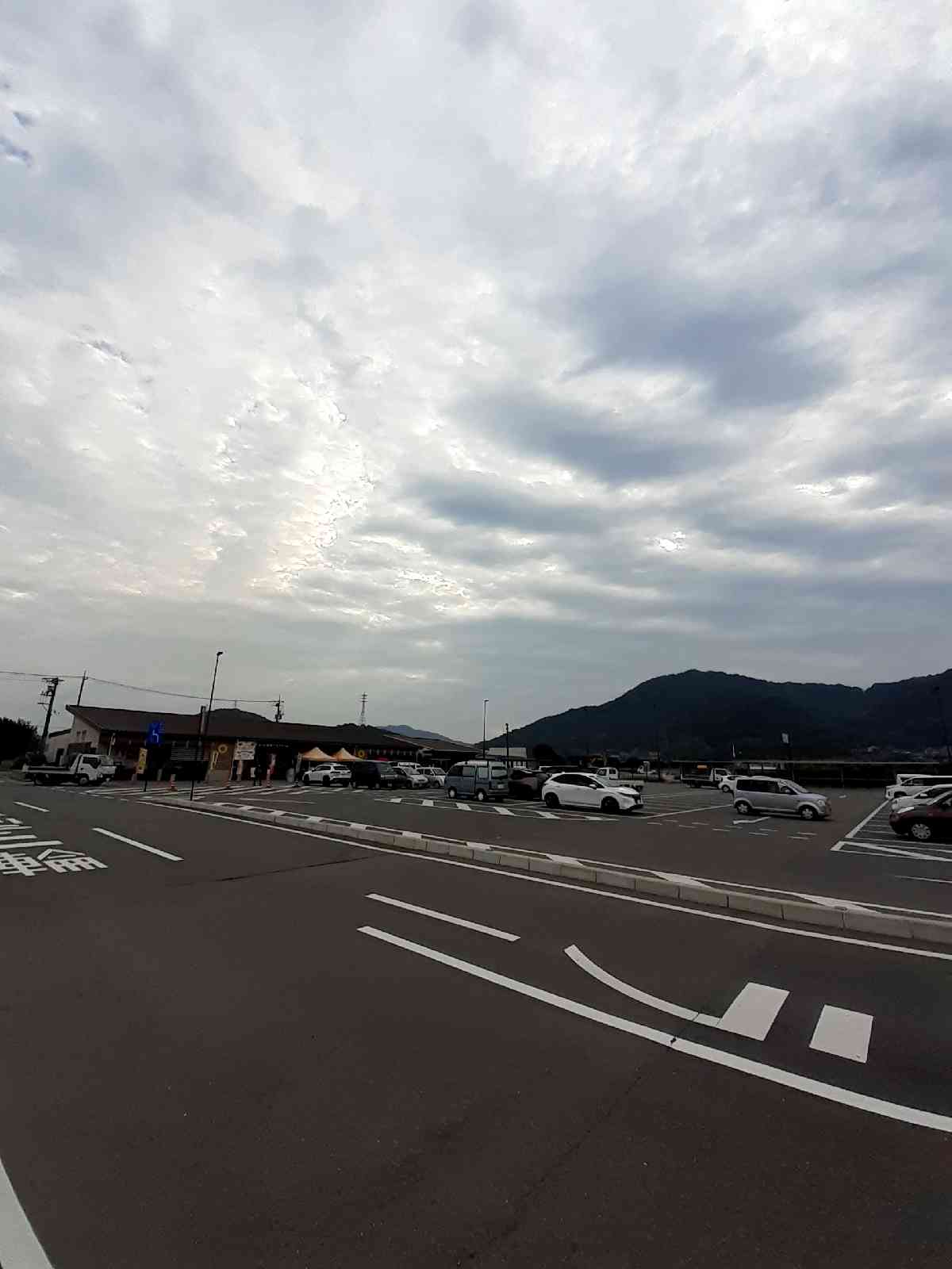 投稿された画像