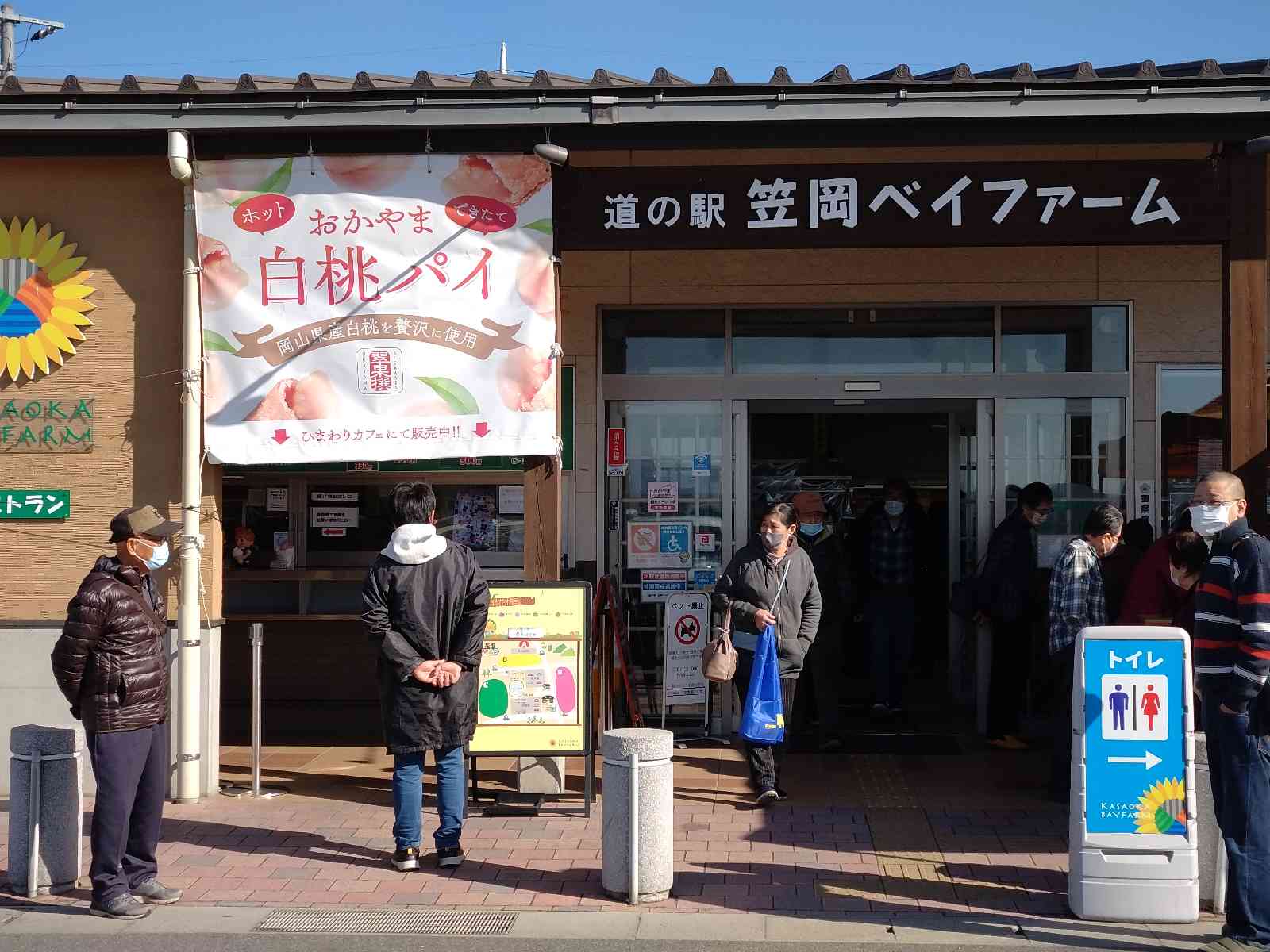 投稿された画像