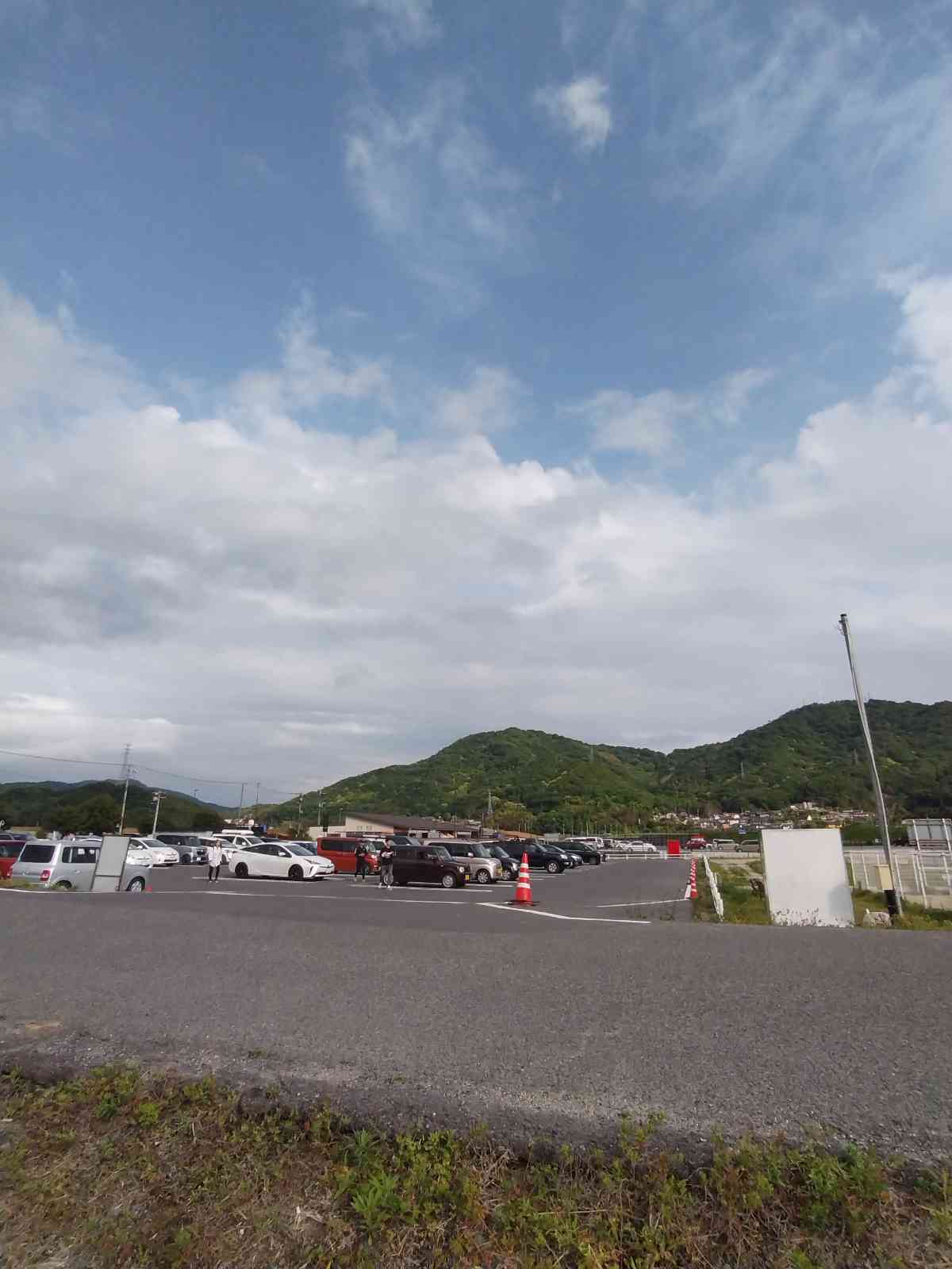 投稿された画像
