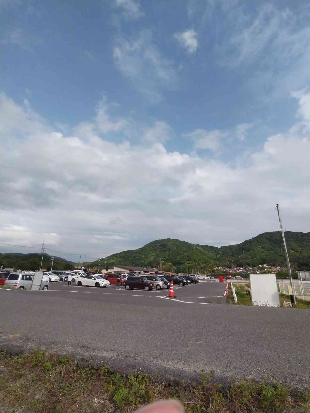 投稿された画像