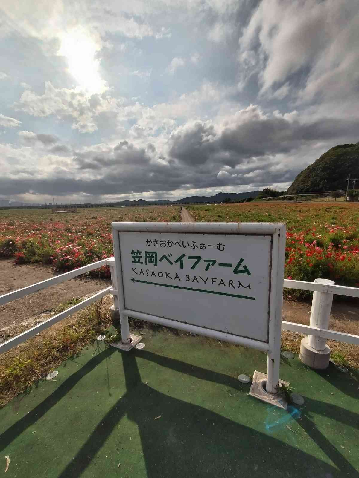 投稿された画像