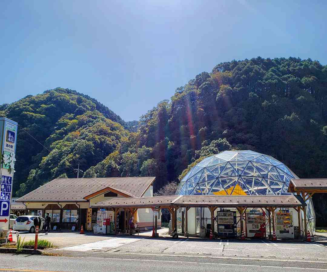 投稿された画像