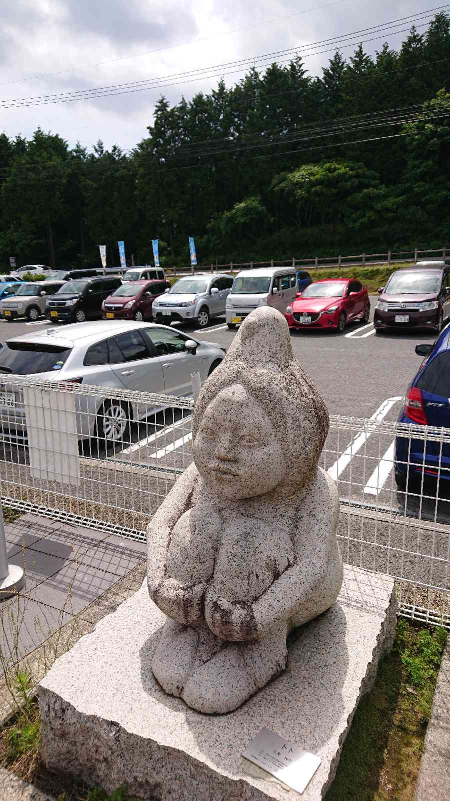 投稿された画像