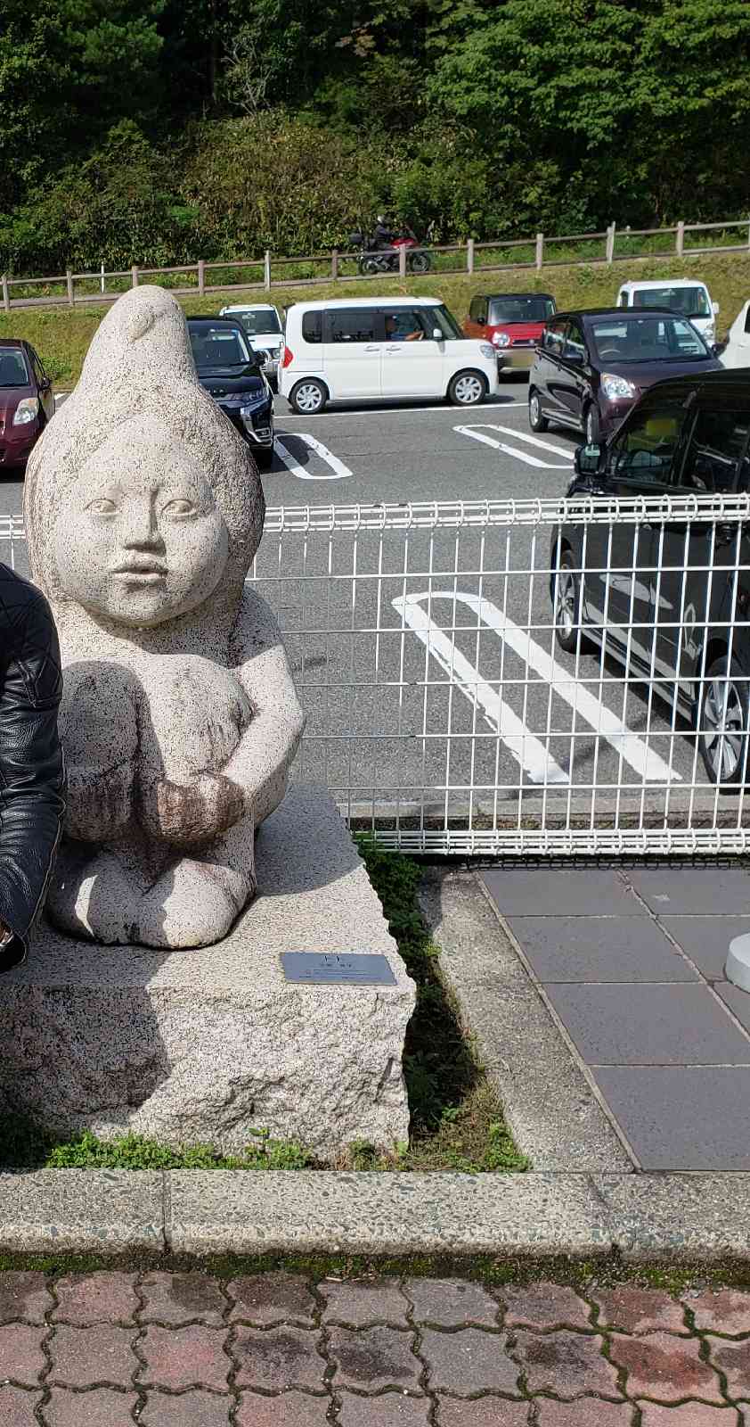 投稿された画像