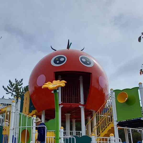 投稿された画像
