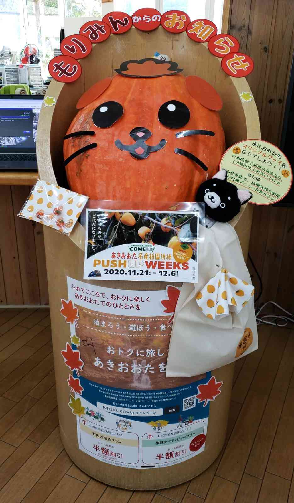 投稿された画像