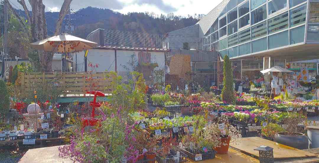 投稿された画像