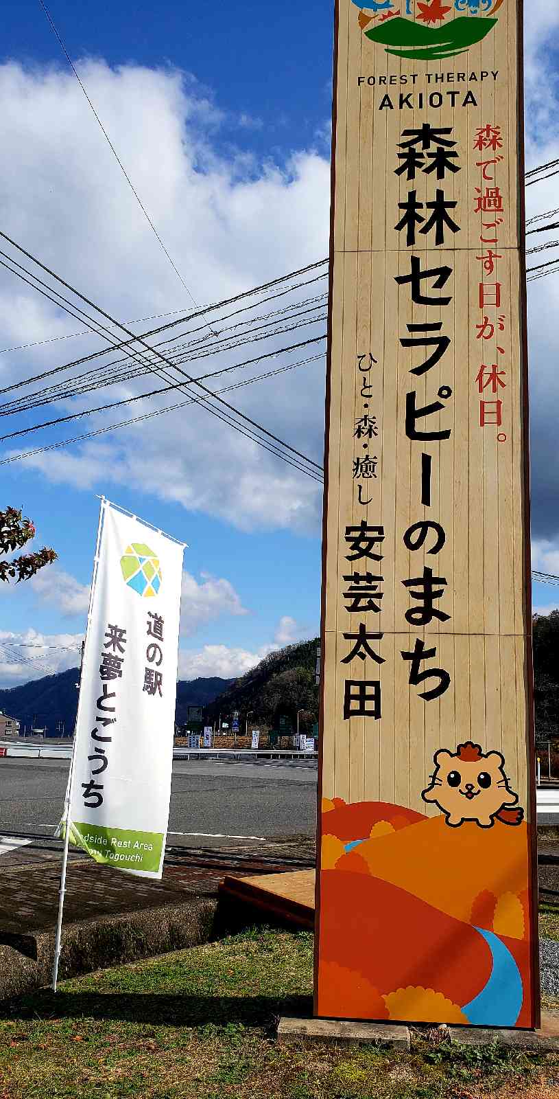 投稿された画像