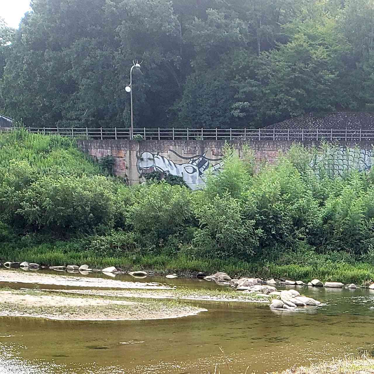 投稿された画像