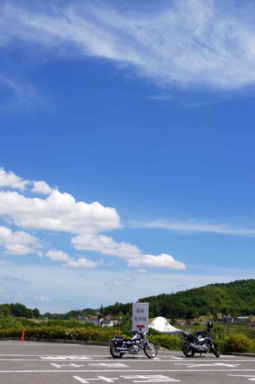 投稿された画像