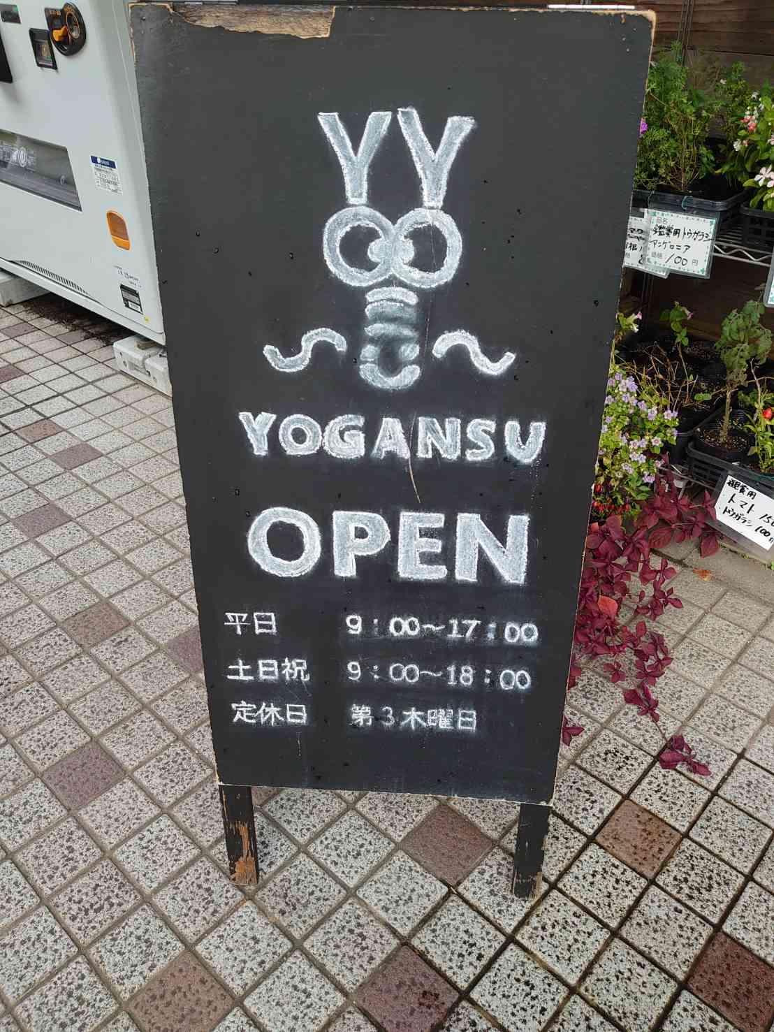 投稿された画像