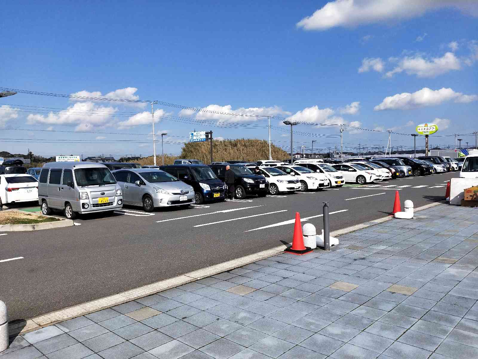 投稿された画像