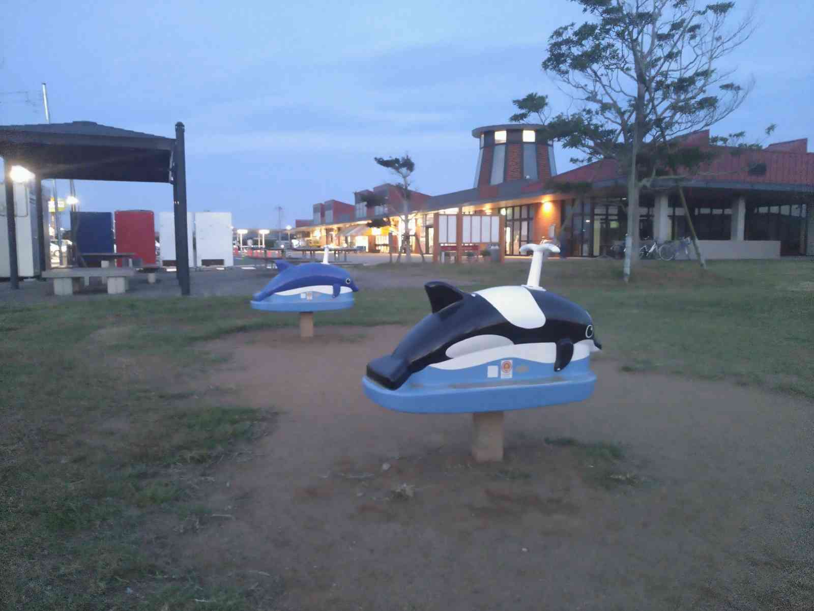 投稿された画像