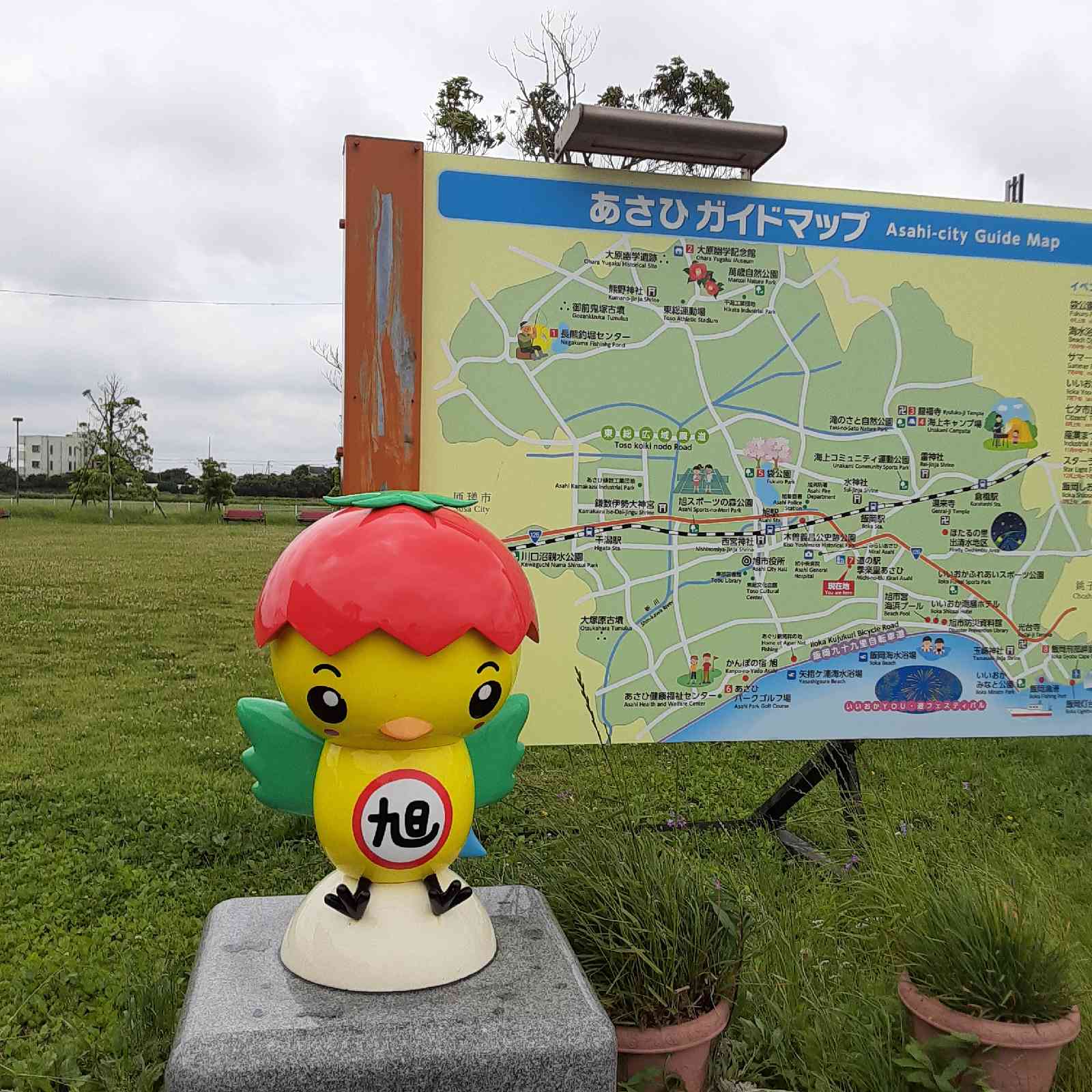 投稿された画像