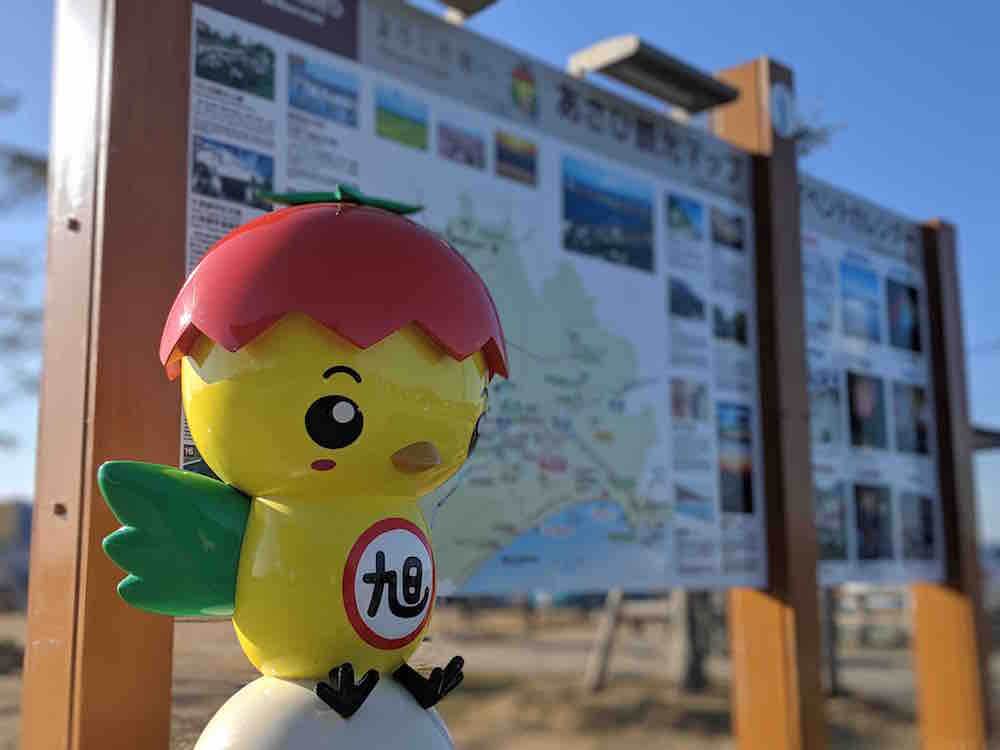 投稿された画像