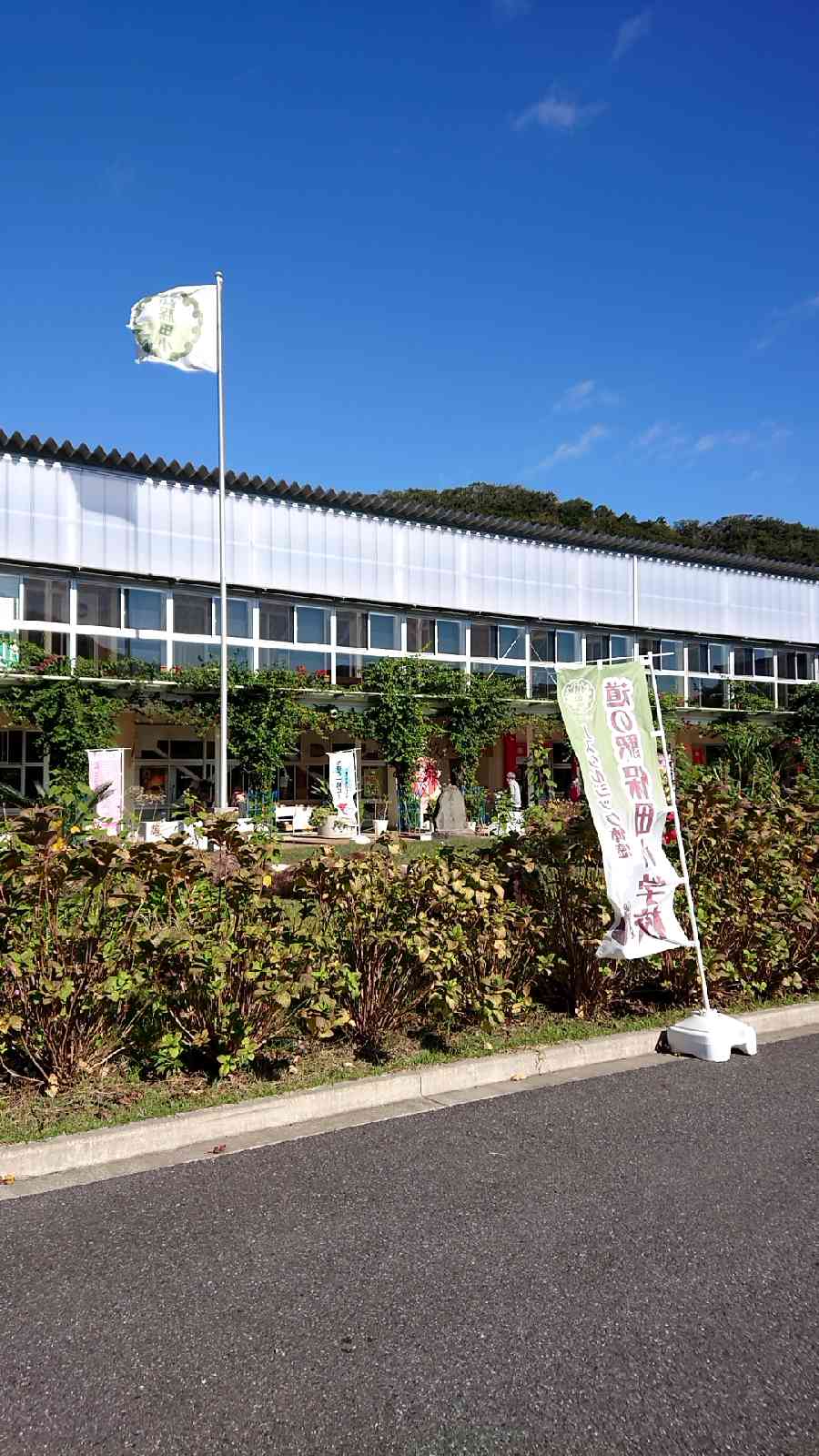 投稿された画像