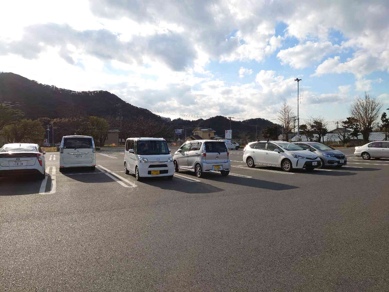 投稿された画像