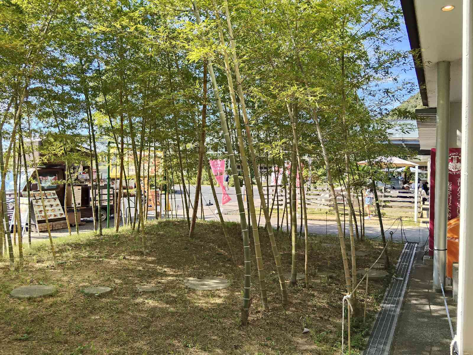 道の駅 保田小学校の写真